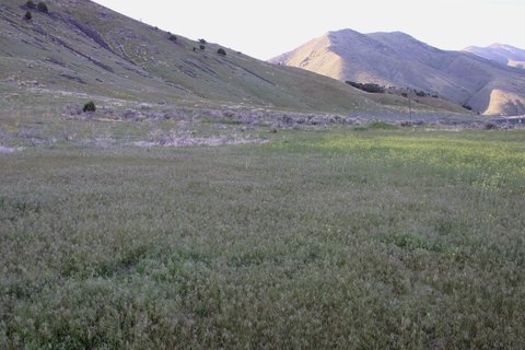 Commercial Land Development Parcel