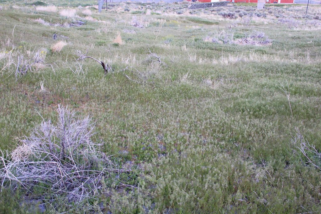 Picture 28