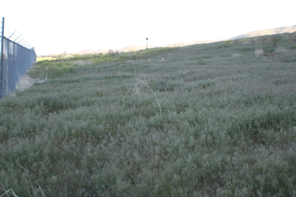 Picture 43