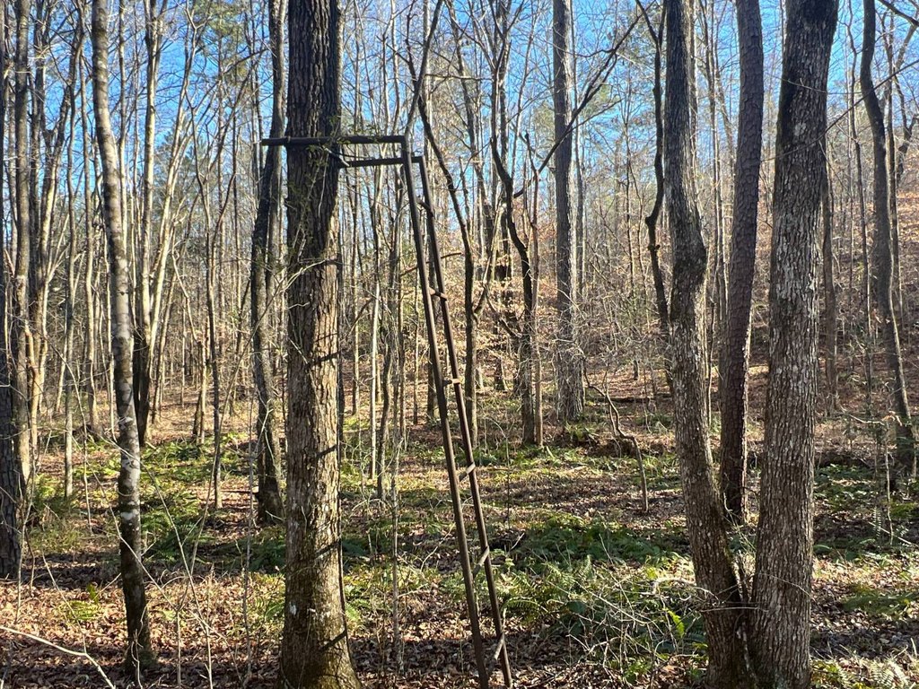 Picture 18