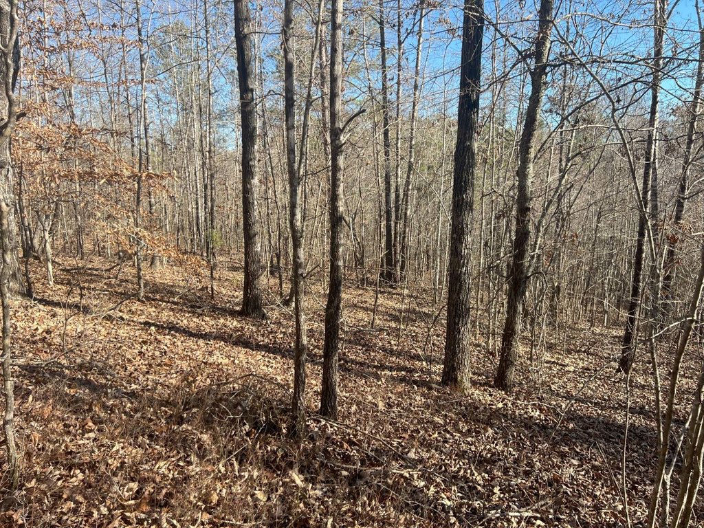 Picture 16