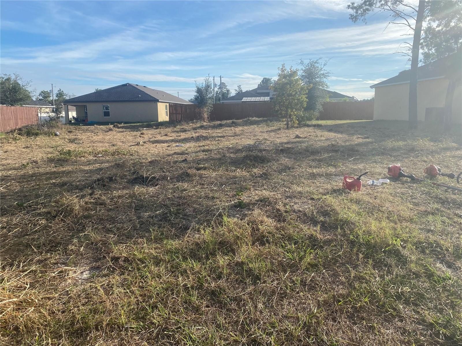 Cleared Lot in Growing Poinciana