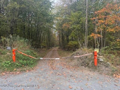 Wooded Land for Recreational Use