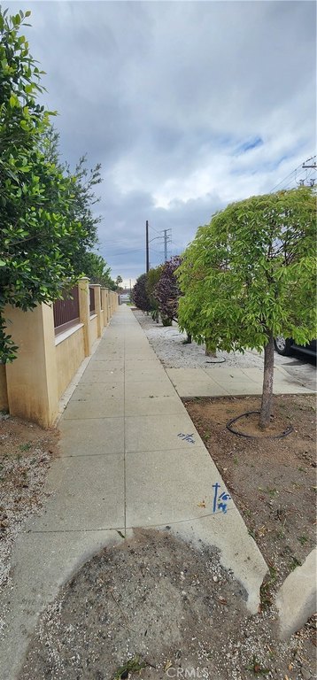 Picture 12