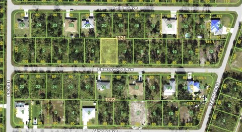 Residential Land in Punta Gorda