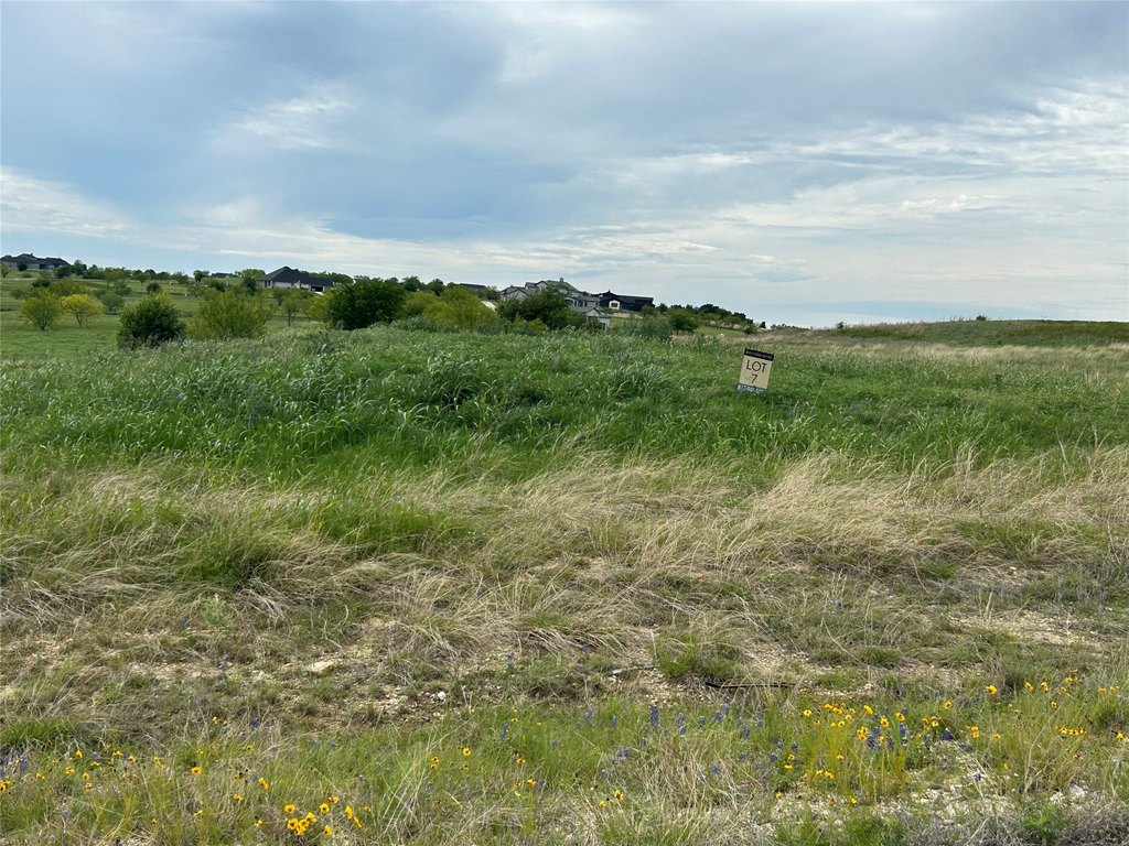Picture 7