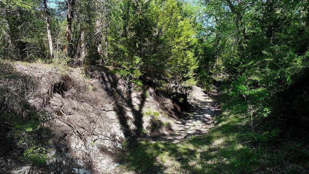 Picture 15
