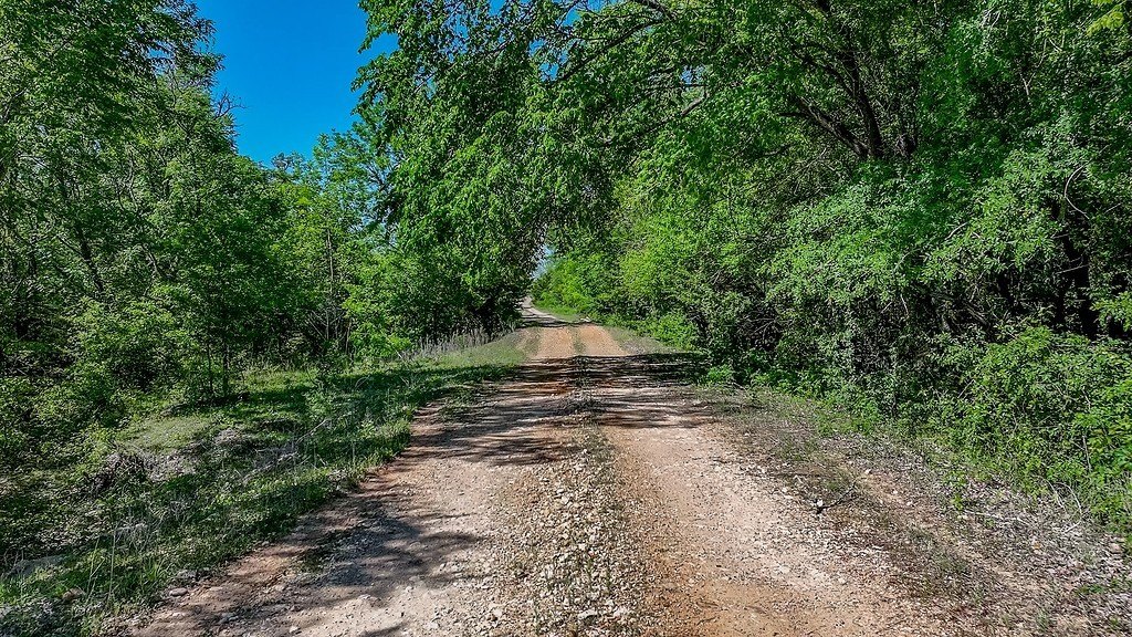 Picture 26