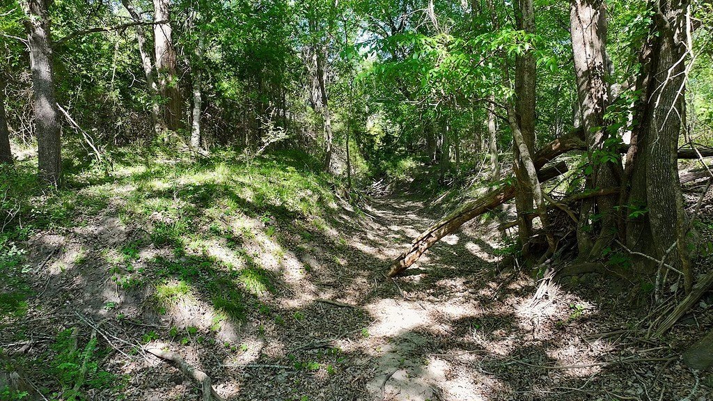 Picture 17