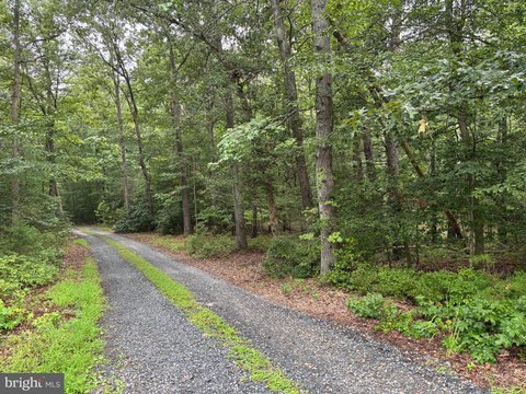 Wooded Lot in Brandywine, MD