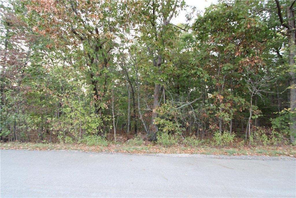 Picture 5