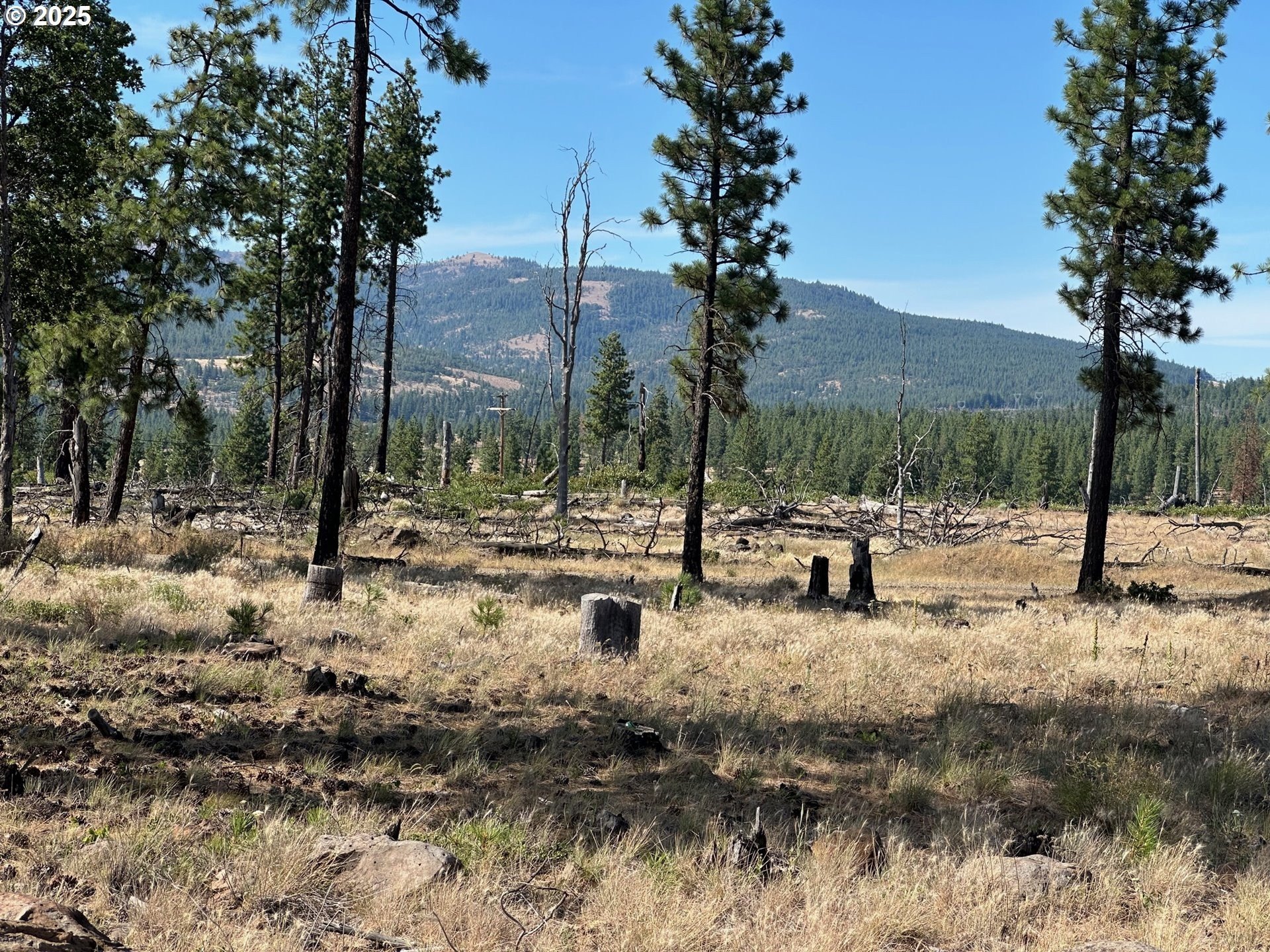 Wooded Land Parcel in Goldendale