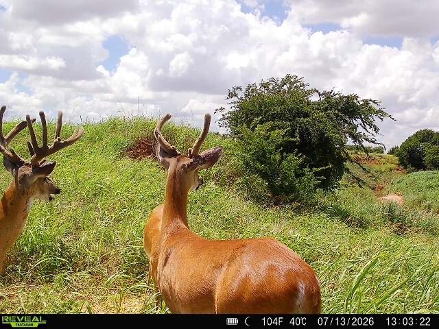 Picture 25