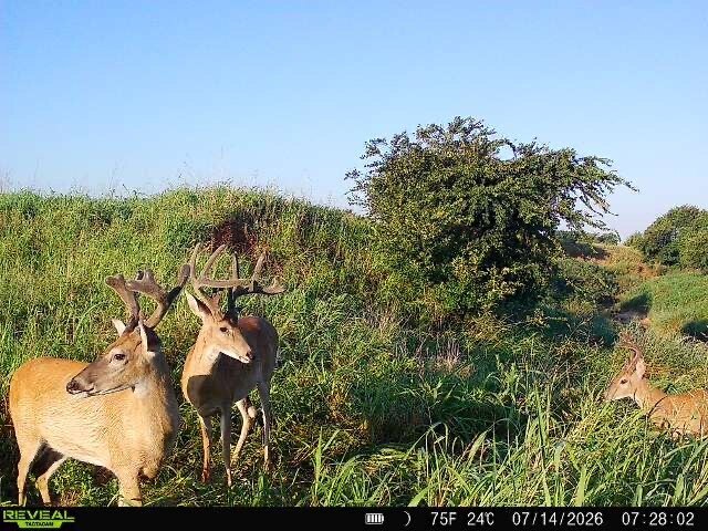 Picture 29