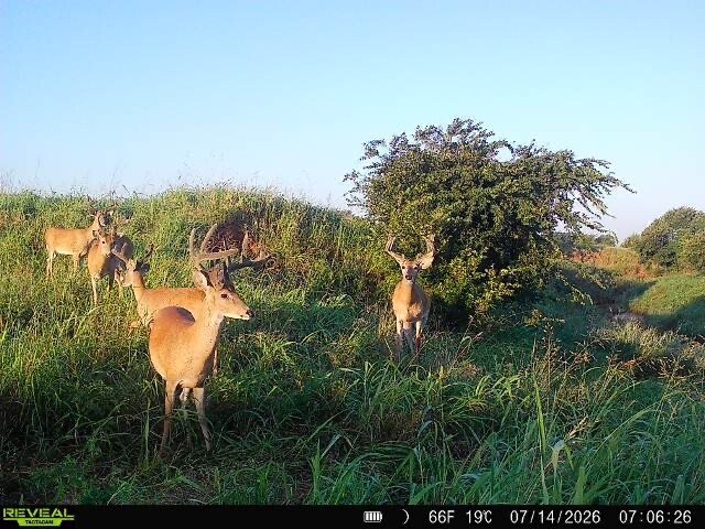 Picture 30