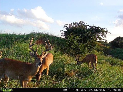 Creekside Hunting Land