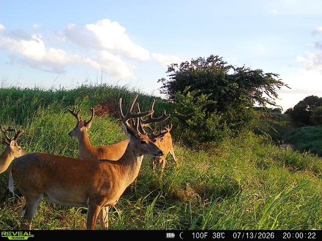 Picture 28