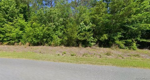 Land, Dunnellon, FL