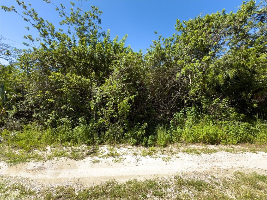 Picture 14