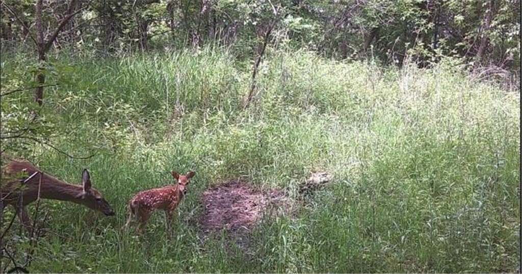 Picture 3