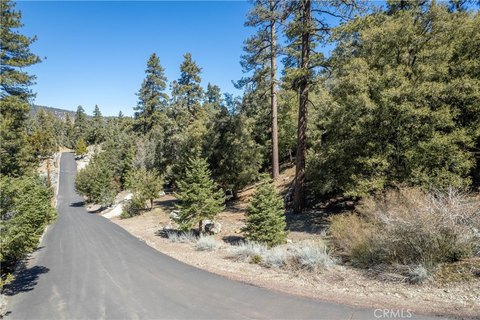 Land with Forest Views