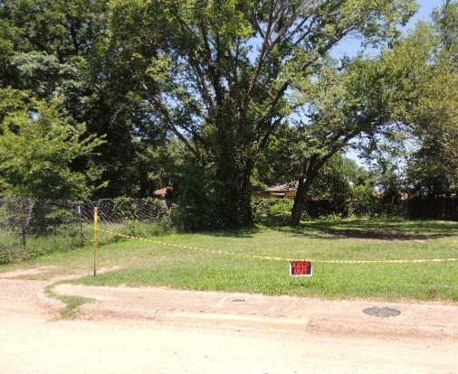 Picture 5