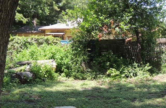 Picture 12