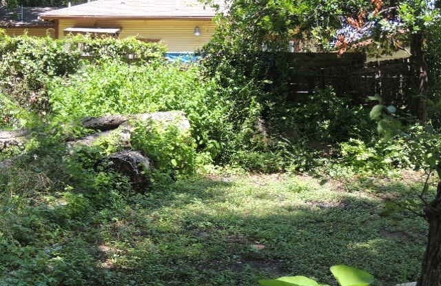 Picture 13