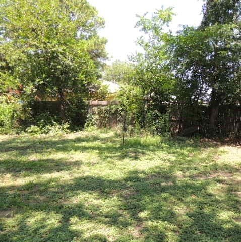 Picture 15