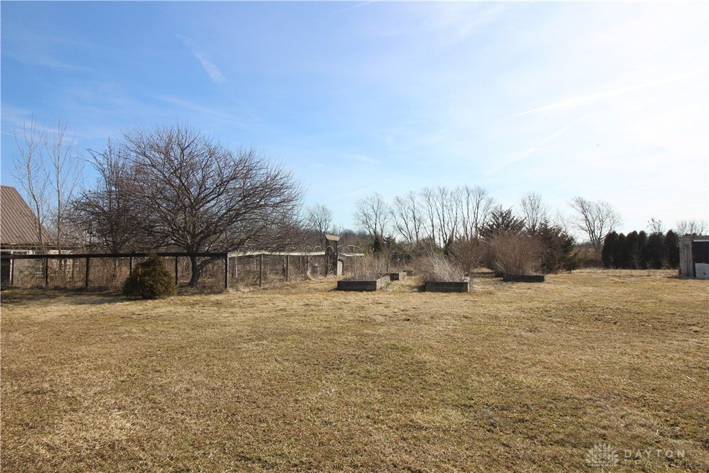 Picture 14