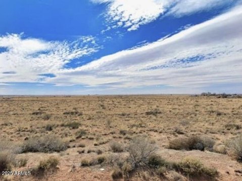 Holbrook, AZ 1.25 Acre Lot
