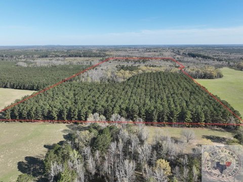 East Texas Hunting & Timber Land