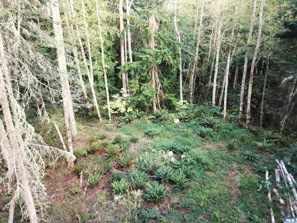 Picture 10