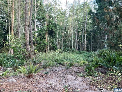 LOTS-LAND, Sequim, WA