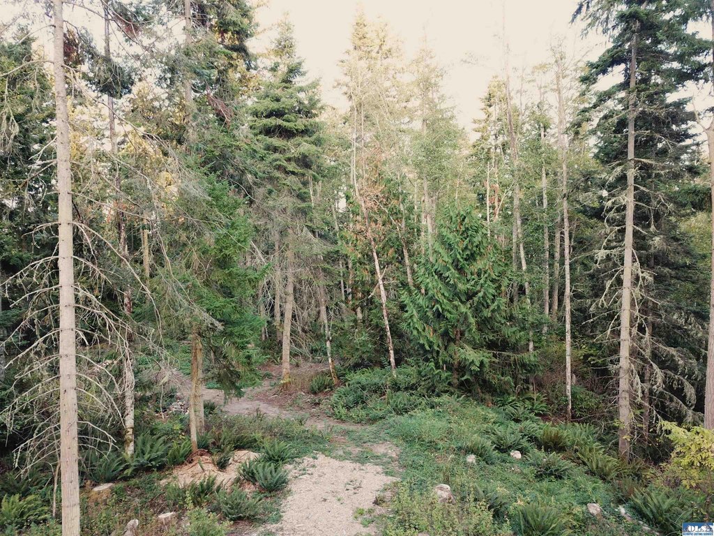 Picture 7