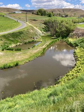 Lewiston Acreage with Water Rights