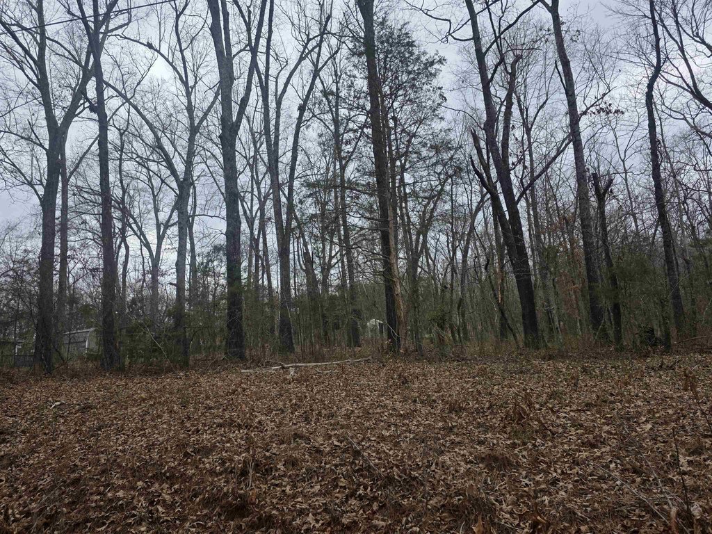 Picture 11