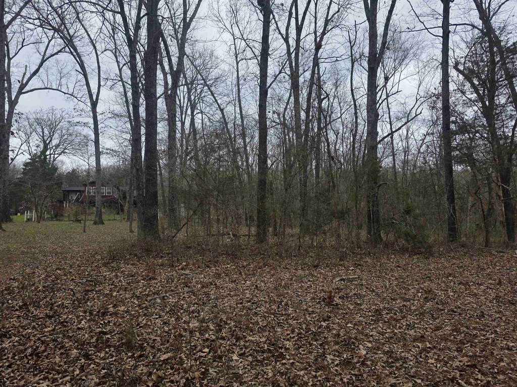 Picture 15