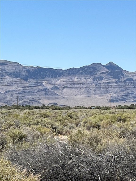 Picture 17