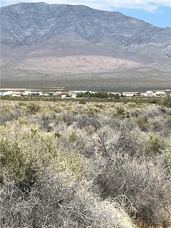 Picture 14