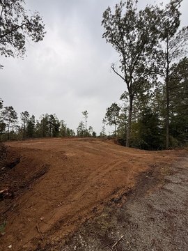 Land, MANSFIELD, TN