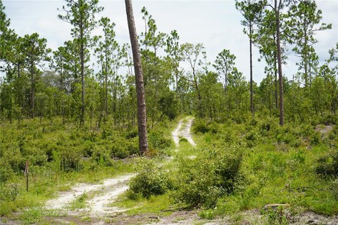 Agricultural Land with Lot Split Approval