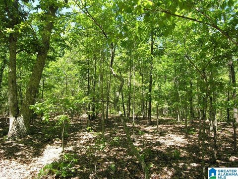 Wooded Homebuilding Lot with Deeded Easement