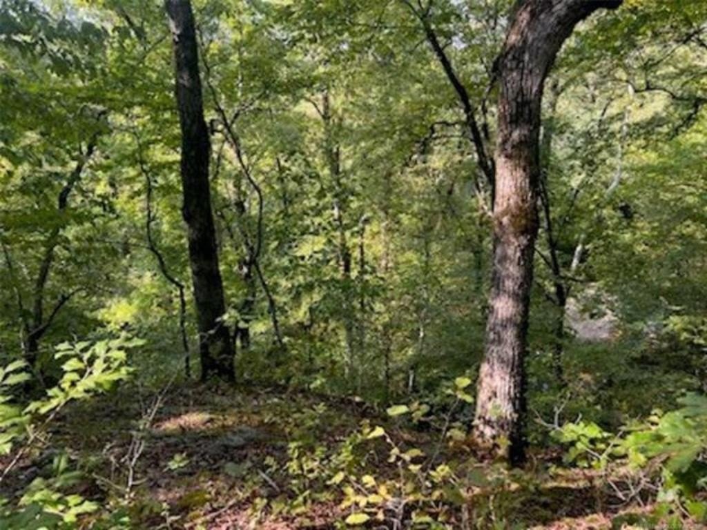 Wooded Land in Broken Bow