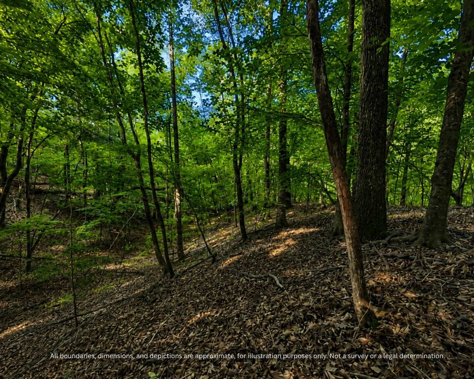 Picture 7