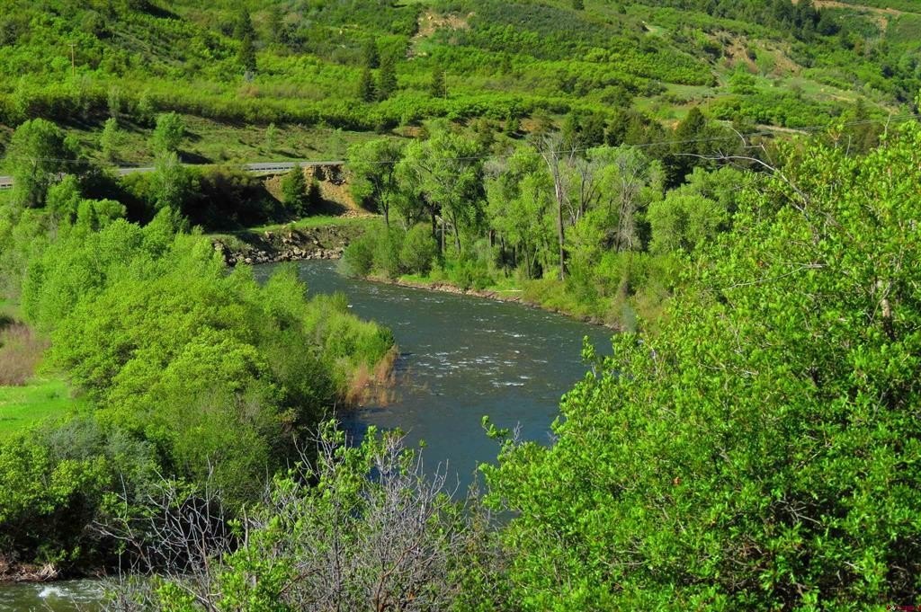 Picture 8