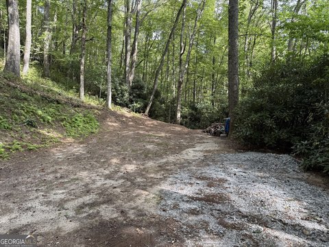 Land in Honey Bear Subdivision