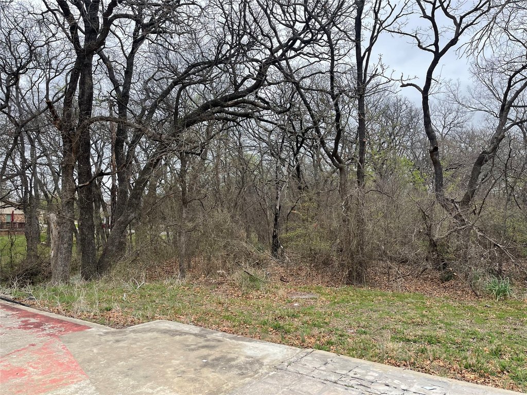 Picture 11