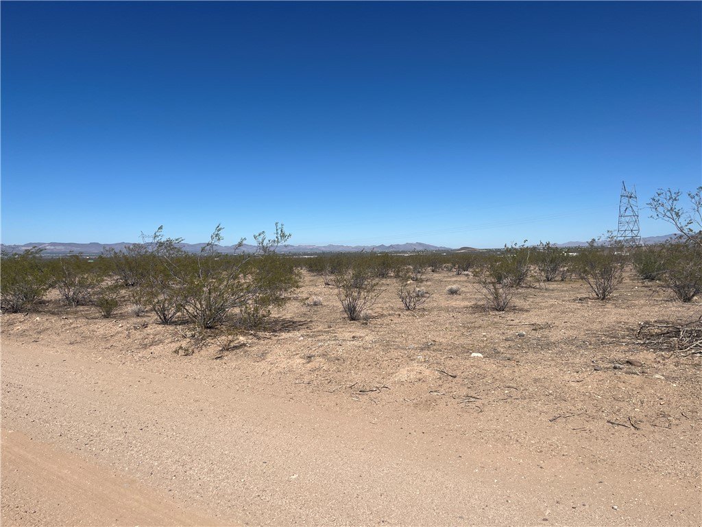 Picture 22
