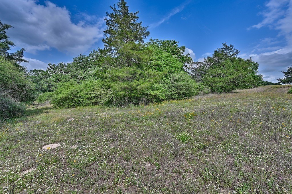 Picture 7